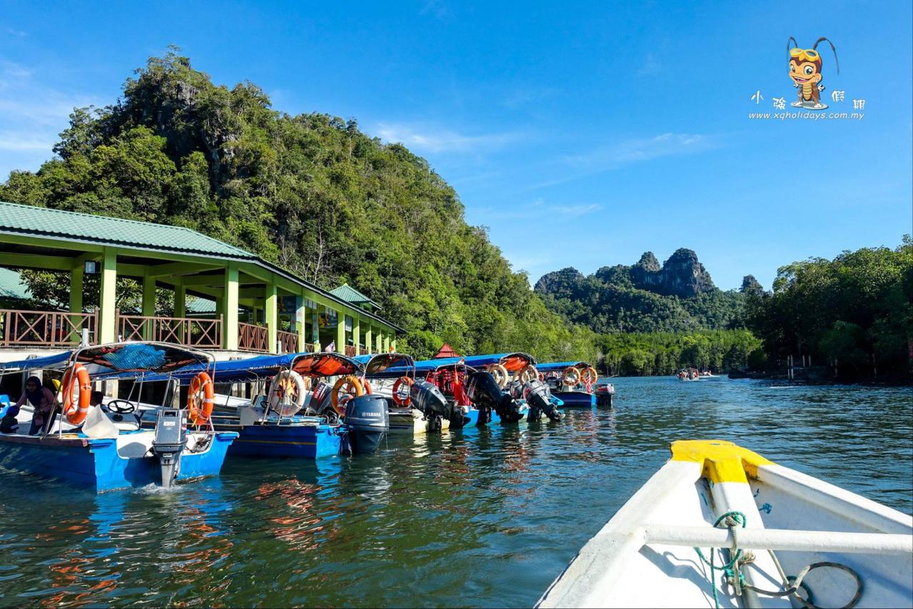 Jelajahi Mangrove Tour Langkawi: Ekosistem Unik dan Aktivitas Menarik