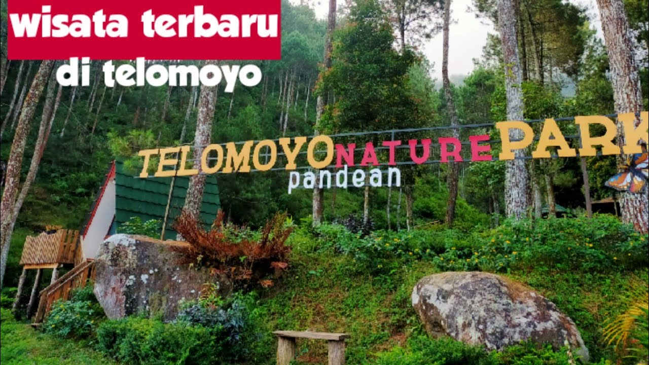 Telomoyo Nature Park: Petualangan Menakjubkan di Puncak Gunung